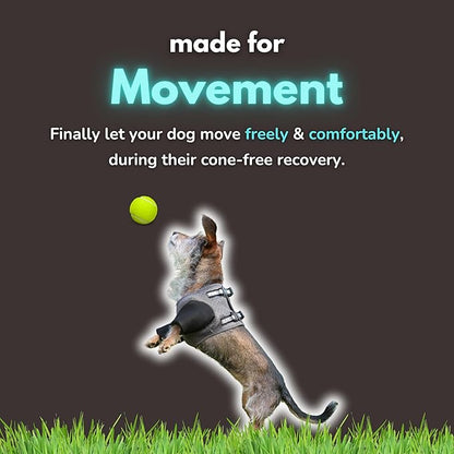 Dog Cone Alternative - Leg Sleeve to Stop Licking, Hot Spot Recovery, Wound & Elbow Protector, Hygroma Treatment, Reduce Stress & Anxiety, Waterproof & Breathable, Post-Surgery Suit (XXL)