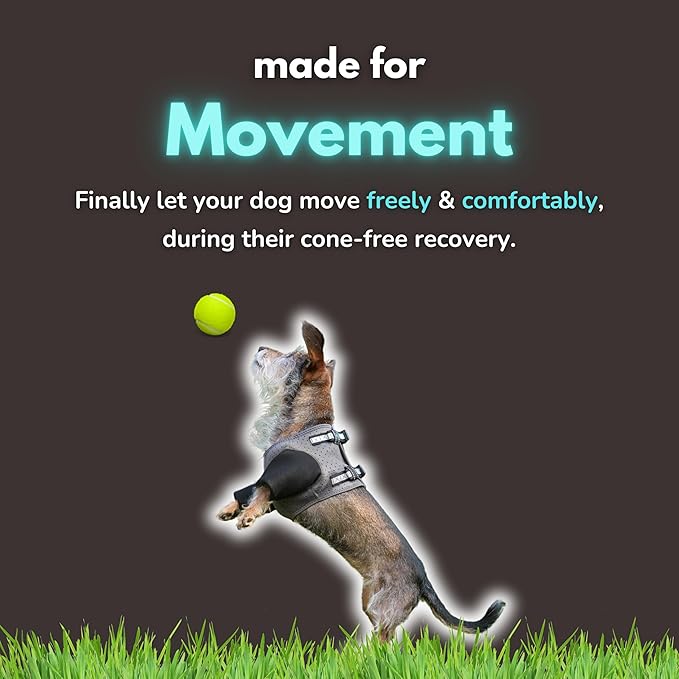 Dog Cone Alternative - Leg Sleeve to Stop Licking, Hot Spot Recovery, Wound & Elbow Protector, Hygroma Treatment, Reduce Stress & Anxiety, Waterproof & Breathable, Post-Surgery Suit (Large)