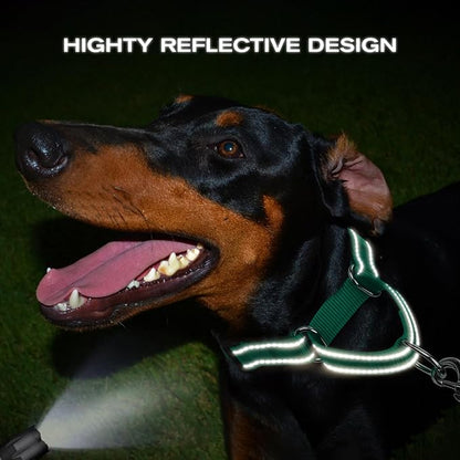 Joytale Martingale Collar for Dogs, Reflective Heavy Duty for Safety, Quick Release Buckle, Adjustable Nylon Collars for Large Dogs Walking Training, Green,L