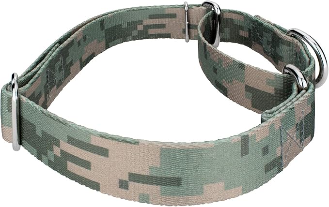 Country Brook Petz - Digital Camo Martingale Dog Collar and Leash Limited Edition - Camouflage Collection Featuring Rugged Designs (1/2 Inch, Extra Small)
