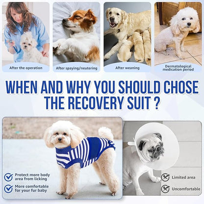 Lukovee Recovery Suit for Dogs, Zipper On Recovery Suit for Female Male Dog, Onesie Abdominal Wounds Cone E-Collar Alternative Prevent Licking Spay Recovery Suit (1BL,XL)