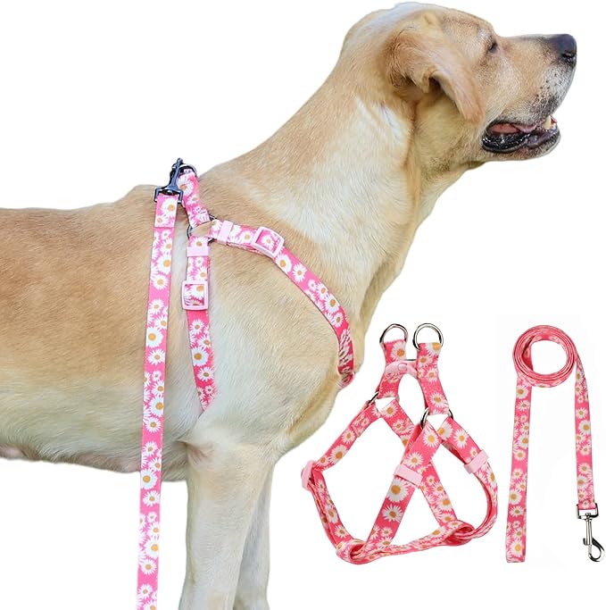 Harness and Leash Set, Floral Pattern, 5ft Matching Leash, No Pull, Easy Wear for Small Puppy Dogs.(XS, Pink Daisy)