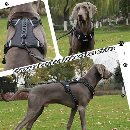 Dog Harness No Pull Adjustable Reflective,for Medium and Large Small Dog with Leash 59.06in (Black, XS)