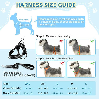 SlowTon No Pull Small Dog Harness and Leash Set, Puppy Soft Vest Harness Neck & Chest Adjustable, Reflective Lightweight Harness & Anti-Twist Pet Lead Combo for Small Medium Dogs(B,L)