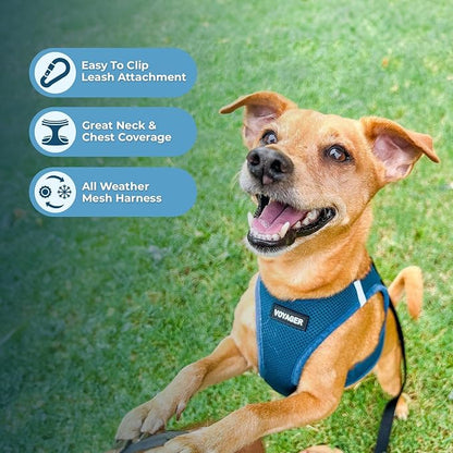 Best Pet Supplies Voyager Step-in Air All Weather Mesh Harness and Reflective Dog 5ft Leash Combo with Neoprene Handle, for Small, Medium and Large Breed Puppies - Set (Turquoise), Small