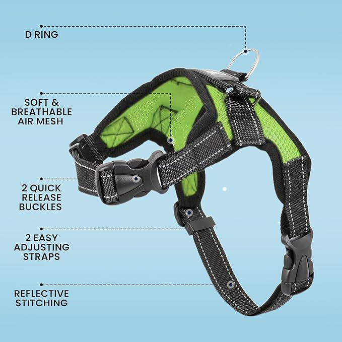 No Pull Reflective Adjustable Dog Harness With Handle- Comfortable Soft All Weather Mesh, Easy On Puppy Harness For Small Medium and Large Dogs (Green) Medium