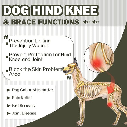 ROZKITCH Dog Hind Leg Sleeve Rear Legs, Pet Sleeve to Prevent Licking Wound Elbow Protector, Dog Recovery Suit Cone Collar Alternative for Sprain ACL CCL Arthritis Joint Care Green L