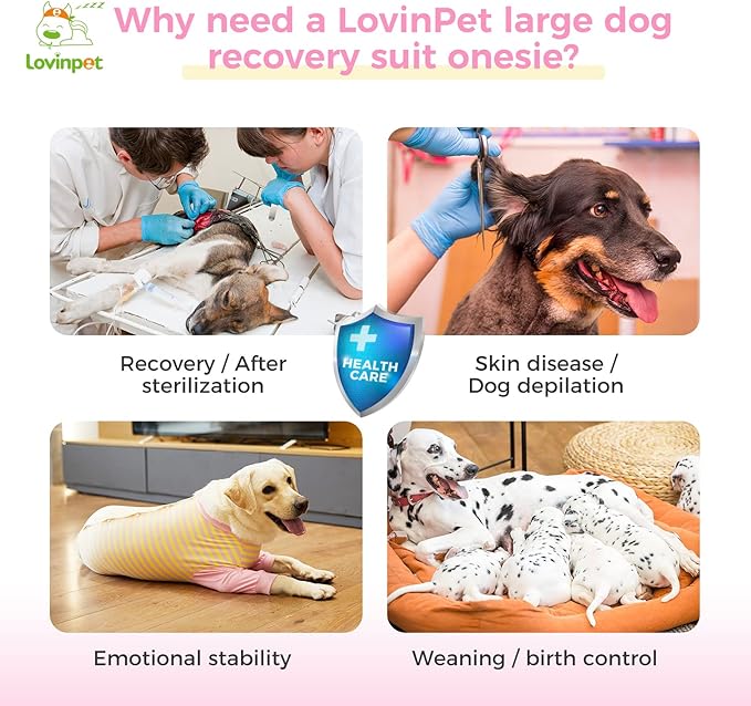 LovinPet Dog Recovery Suit for Large Medium Dogs - Full Coverage Dog's Bodysuit Wound Protective Surgical for Abdominal Wounds After Surgery Anti-Licking Cut-Out Design of Abdomen,Buttons,XXL