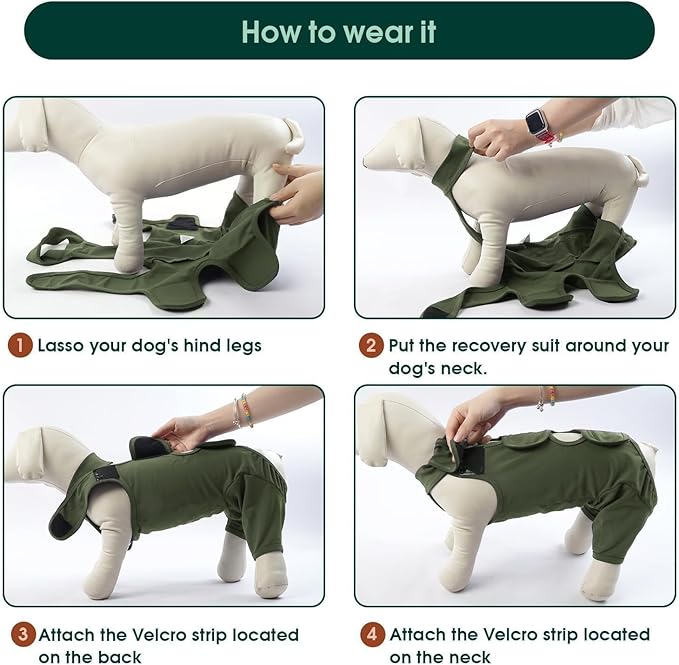 Kuoser Thigh Wound Protective Sleeve for Dogs, Dog Surgery Recovery Suit for Rear Legs, Dog Recovery Sleeve for Female Male Dogs, Dog Onesie After Surgery Pet Surgical Suit for Spay Neuter, Green L