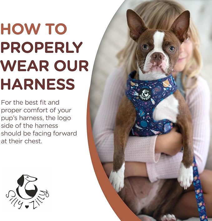 No Pull Harness and Leash Set - 6-in-1 Adjustable Vest Harness and Collars for Medium and Large Dogs. (Cosmic, Extra Small)
