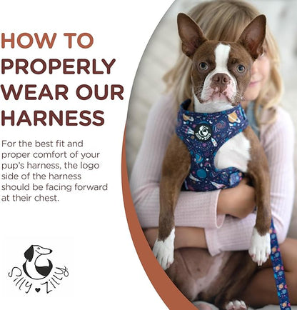 No Pull Harness and Leash Set - 6-in-1 Adjustable Vest Harness and Collars for Medium and Large Dogs. (Cosmic, Medium)