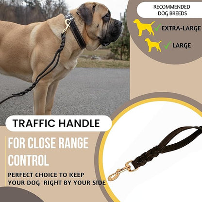 ADITYNA - Double Handle Leather Dog Leash 6ft - Heavy Duty Braided Dog Leash with Traffic Handle for Mastiff, Saint-Bernard, Rottweiler - Lead for Extra-Large Breeds (Black, Two Handles 6 Foot x 1")