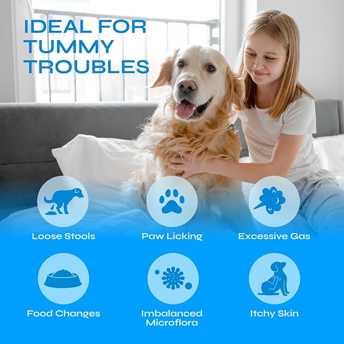 Probiotics for Dogs - Prebiotics & Digestive Enzymes 17,420 mg per Pack - Dog Probiotics Chews for Gut Health, Diarrhea, Gas & Constipation Relief - Itchy Skin, Allergies, Yeast Balance - 130 Treats