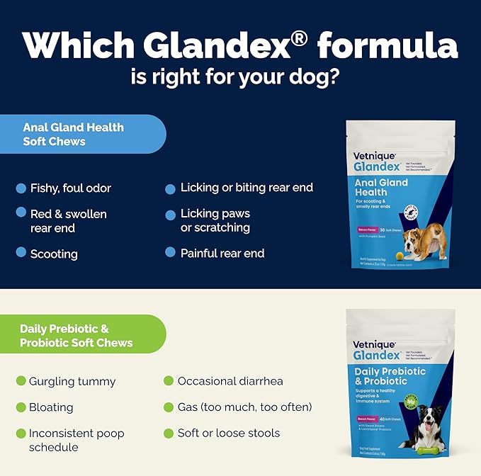 Vetnique Glandex Daily Probiotics for Dogs with Prebiotics to Support Gut Health, Diarrhea with Fiber and Digestive Enzymes, Dog Probiotic Chews or Powders (60ct Chews, Bacon Chews)
