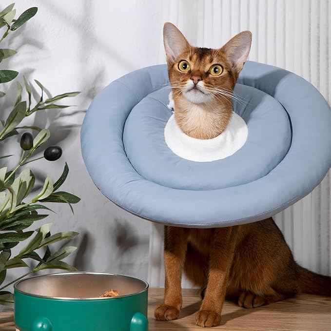 Comfortable Adjustable Soft Dog Cone Alternative After Surgery - Elizabethan Donut Collar for Cats, Medium Dogs and Small Dogs