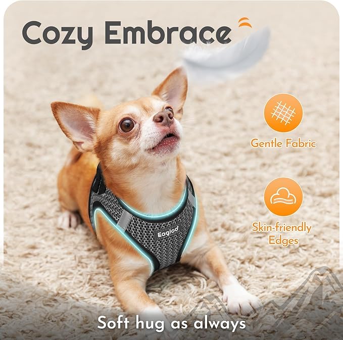Eagloo Small Dog Harness and Leash Set, Step in Puppy Vest with Breathable Soft Mesh, Walking Reflective Pet Harness for Small Dogs, Gray, S