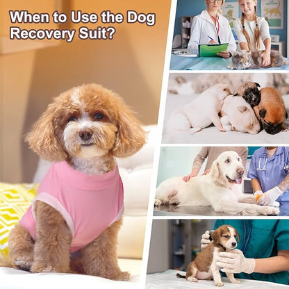 SAWMONG 2 Pack Recovery Suit for Dogs After Surgery, Dog Recovery Suit Dog Spay Surgical Suit for Female Dogs, Dog Onesie Body Suit for Surgery Male Substitute Dog E-Collar,M
