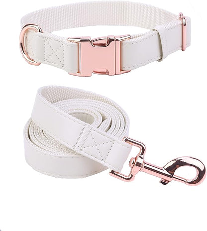 Dog Collar and Leash Set.Soft and Easy to Clean Vegan Leather with Rose Gold Metal Buckle for Small Medium Large Dogs (Off-White, XS(8"-12"))