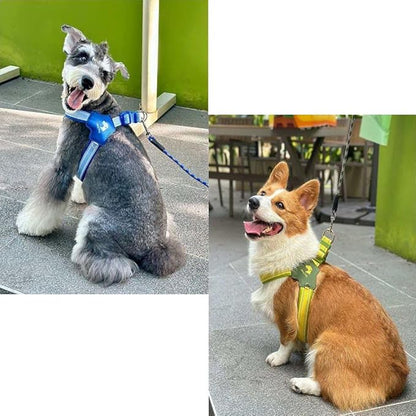 Reflective Dog Harness and Leash Set Designed for Collie, Anti-Pull Adjustable Pet Harness and Leash Yellow L