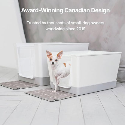 Indoor Dog Potty with High Walls and Low Entry for Small Dogs — Vertical Pad Holder, Splash Guard, and Clean Modern Design by DoggyBathroom (Regular, Light Grey)