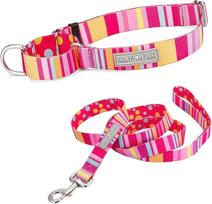 Lucky Love Dog Martingale Dog Collar & Leash - Adjustable, No-Slip, Durable, Comfortable, Soft Webbing, & Stylish Patterned Collar & Leash Set for Male and Female Dogs - Molly Combo, Small