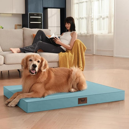 Outdoor Orthopedic Dog Bed for Medium Dogs & Cats, Waterproof Flat Pet Mat with Egg Crate Foam & Washable Removable Oxford Cover, 30x20 Inch, Light Blue