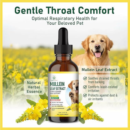 Mullein Lung Support Drops for Dogs & Cats, Relieves Kennel & Dry & Wet Cough, Lung Cleanse, Soothes Sore Throat, Eases Breathing - Pure Plant Extract, Hormone & Chemical Free, with Chlorophyll