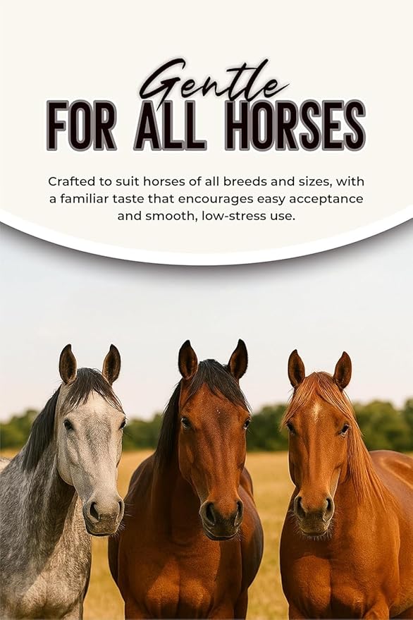 Ivermectin Horse Wormer Paste 1.87% – Apple Flavored 6.08g (0.21 oz) Oral Syringe – Treats Horses Up to 1,250 lbs – Adjustable 250 lb Weight Markings – Removes Worms & Bot Control – 6 Pack