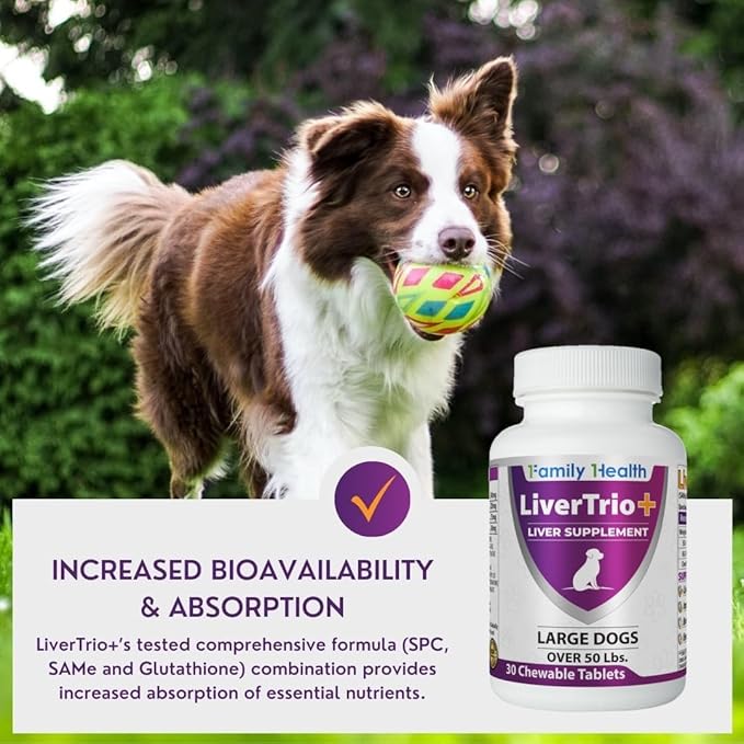 Comprehensive Liver Supplement (2 Pack - 60ct), Combining Same, SPC, Silybin A+B, Gluathione, Chew Tabs for Dogs 30Ct (2X Small - Medium)