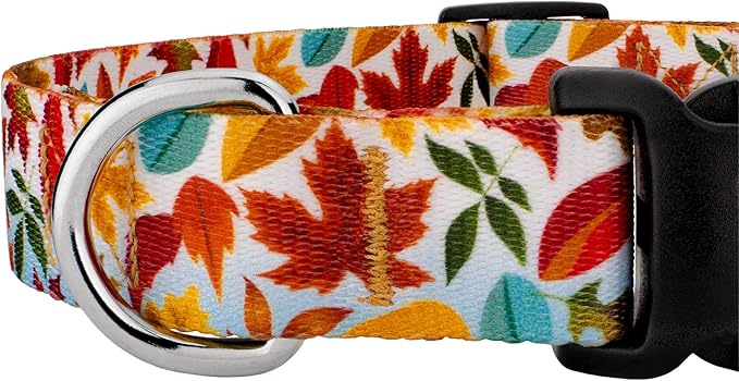 Country Brook Petz - Brisk Autumn Everyday Dog Collar and Leash - Awesome Autumn Collection Featuring Designs You Will Fall for (5/8 Inch, Small)