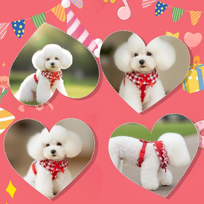 EXPAWLORER Cute Dog Harness and Leash Set - Red Girl Dog Harness Checkered Step-in Design, Easy Adjustable No-Choke Lightweight Breathable Vest for Small Medium Dogs Outdoor Walking, Medium