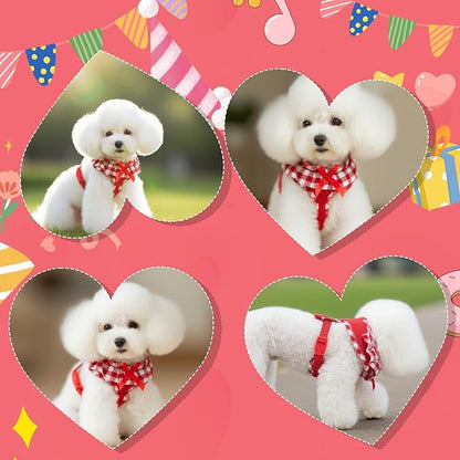 EXPAWLORER Cute Dog Harness and Leash Set - Red Girl Dog Harness Checkered Step-in Design, Easy Adjustable No-Choke Lightweight Breathable Vest for Puppy Small Dogs Cats Outdoor Walking, X-Small