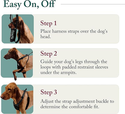 Sporn No Pull Dog Harness, Durable Nylon Mesh Harness for Small Dogs, No Choke Design, Padded Restraint Sleeves, Adjustable Fit, Easy On/Off, Ideal for Small Breeds, Black