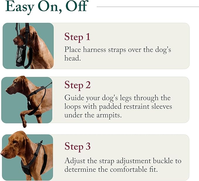 Sporn No Pull Dog Harness, Durable Nylon Mesh Harness for Medium Dogs, No Choke Design, Padded Restraint Sleeves, Adjustable Fit, Easy On/Off, Ideal for Medium Breeds, Blue