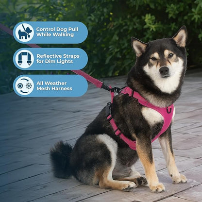 Voyager Dog Harness Dual Leash Attachment No-Pull Control Adjustable Soft but Strong Pet Harness for Medium and Large Dogs with 3M Reflective Technology, Leash Set Fuchsia Nylon, S (Chest: 16-20")