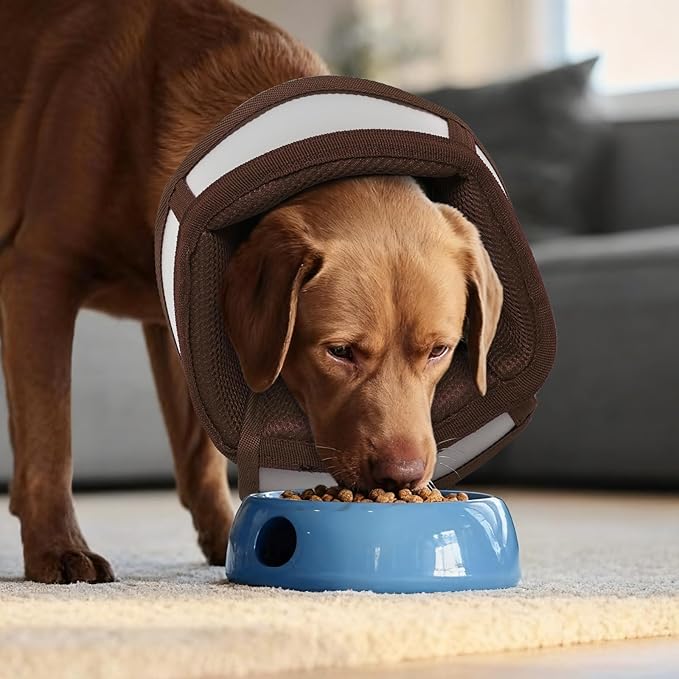 Dog Cone Alternative for Small Dogs to Stop Licking | Adjustable Recovery E-Collar for After Surgery & Wounds, Lightweight & Comfortable Elizabethan Protective Cone (Brown, M)