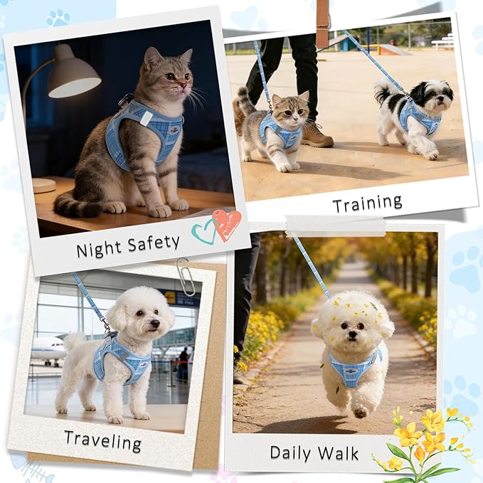 Gyuzh No Pull Dog Harness - 3-in-1 Step in Harness Collar Leash Set for Small Dog Walking & Training, Easy Walk Style, Lightweight Plaid Vest (Blue, M)