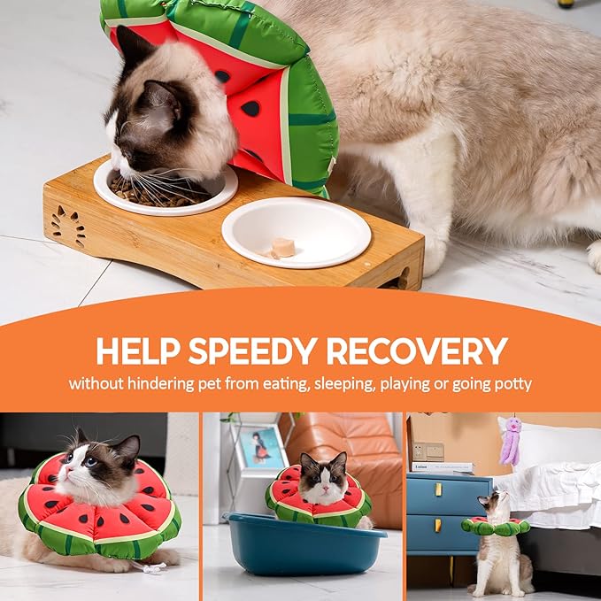 Avont Cat Cone Collar Soft, Adjustable Recovery E Collar Alternative for Cats Kittens Puppies, Elizabethan Neck Cone of Shame to Prevent Licking Biting After Surgery Protect Wounds -Melon(M)
