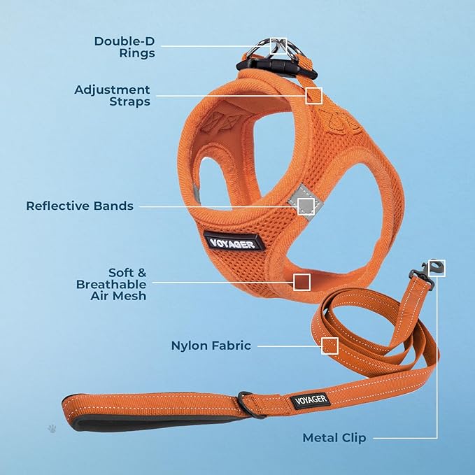 Best Pet Supplies Voyager Step-in Air All Weather Mesh Harness and Reflective Dog 5ft Leash Combo with Neoprene Handle, for Small, Medium and Large Breed Puppies - Set (Orange), Small