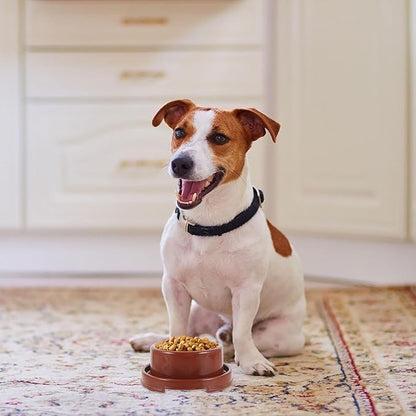 Milisten Pet Food Holder and Dog Bowl Pp Plastic Round Feeding Dish Brown for Puppy Feeding Station and Pet Supply
