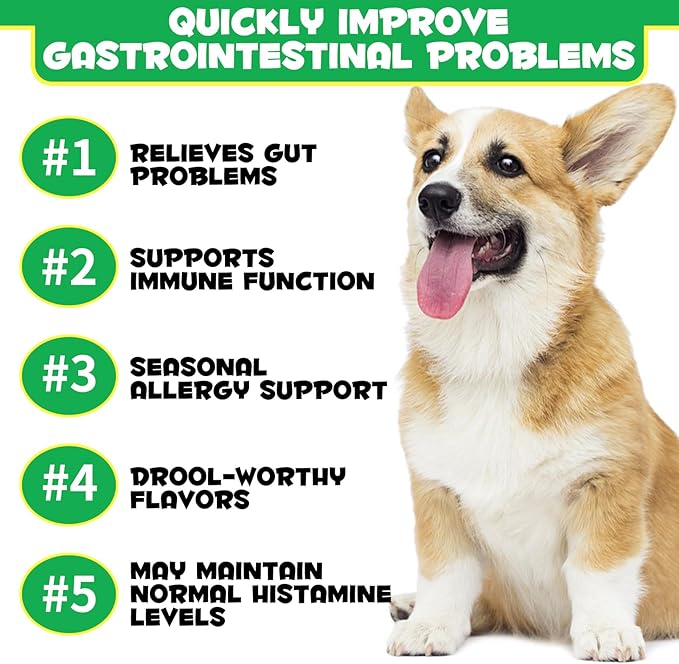 Probiotics for Dogs - Pre & Probiotic Digestive Treats for Dog, Support Gut Health, Seasonal Allergies, Itchy Ears, Dog Supplement Soft Chews, Immune Function Support for Dogs - 120pc/Duck Flavor