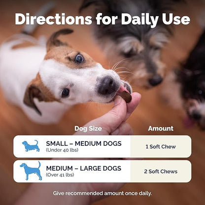 Vetnique Glandex Daily Probiotics for Dogs with Prebiotics to Support Gut Health, Diarrhea with Fiber and Digestive Enzymes, Dog Probiotic Chews or Powders (60ct Chews, Bacon Chews)