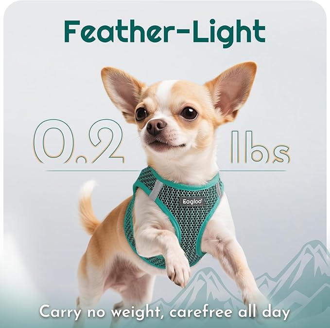 Eagloo Small Dog Harness and Leash Set, Step in Puppy Vest with Breathable Soft Mesh, Walking Reflective Pet Harness for Small Dogs, Forest Green, XS