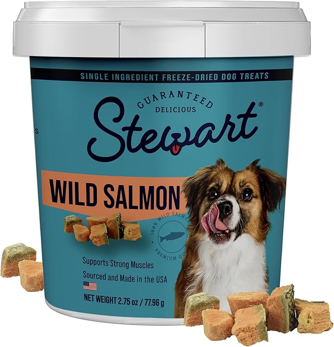 Stewart 100% Wild Salmon Dog Treats, 2.75 oz Tub, ~55 Pieces, Freeze Dried Raw, Single Ingredient, 65% Protein Training Treats or Meal Topper, Grain Free, Gluten Free