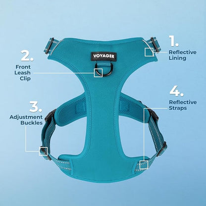 Voyager Dog Harness Dual Leash Attachment No-Pull Control Adjustable Soft but Strong Pet Harness for Medium and Large Dogs with 3M Reflective Technology, Turquoise Nylon, L (Chest: 25-30")