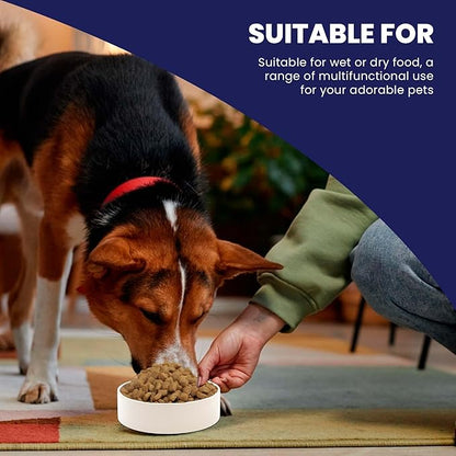 SPOT Ceramic Stoneware- Pet Bowl for Medium and Large Dogs, Classic Heavy Duty Non-Slip Ceramic Bowl for Food and Water - 7.5in Diameter