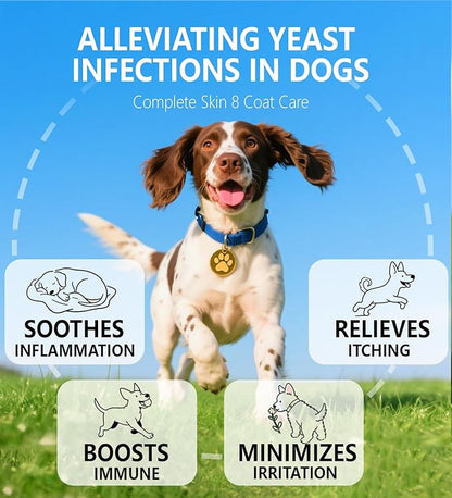 Allergy Relief Drops for Dogs, Allergy and Immune, Immune Support Supplement, Dog Supplement, Natural Pet Supplement for Dog Allergy Relief with Turmeric & Milk Thistle - 2 oz