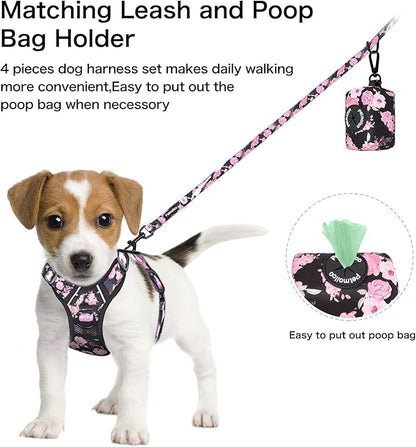 Petmolico No Pull Dog Harness Set with Leash Attachment Easy Control Handle Reflective Harness Vest Small Breed, Puppy Vest and Leash Set with Poop Bag Holder, XS - Boho Floral