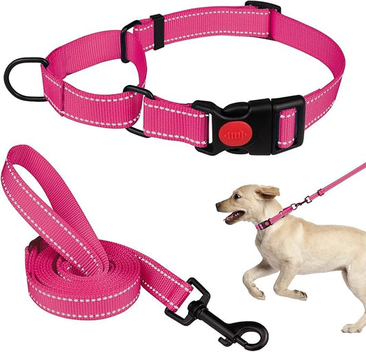 Martingale Dog Collar and Leash Set Martingale Collars for Dogs Reflective Martingale Collar for Large Medium Small Dogs(Hot Pink&M)