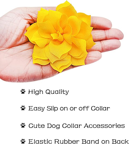 PET SHOW Small Dog Collar Charms Bowties for Cats Rabbits Slide on Puppies Medium Dog Collars Attachment Flower Bows Pet Bowknot Valentines Grooming Costumes Accessories